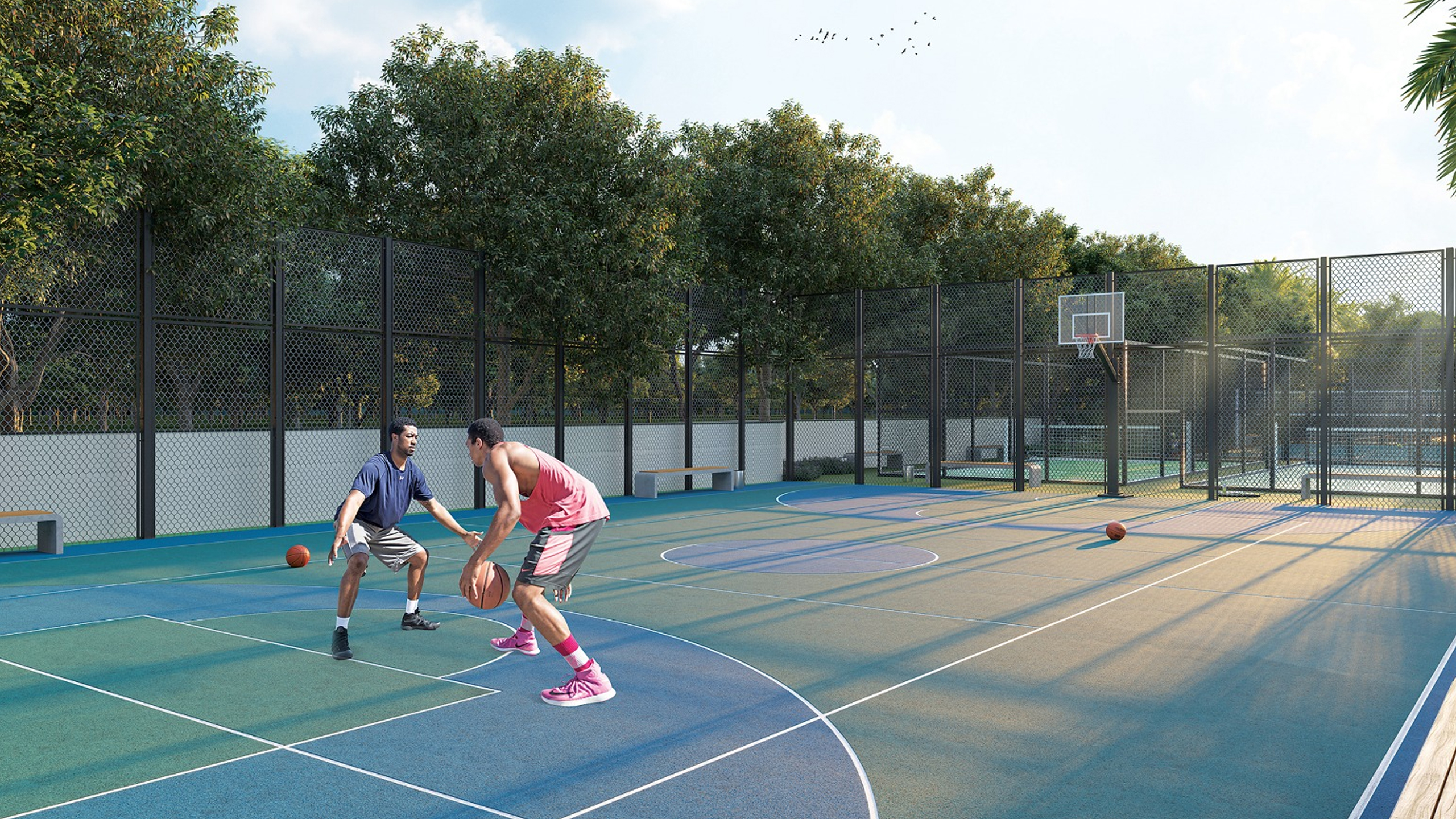 Basket-ball