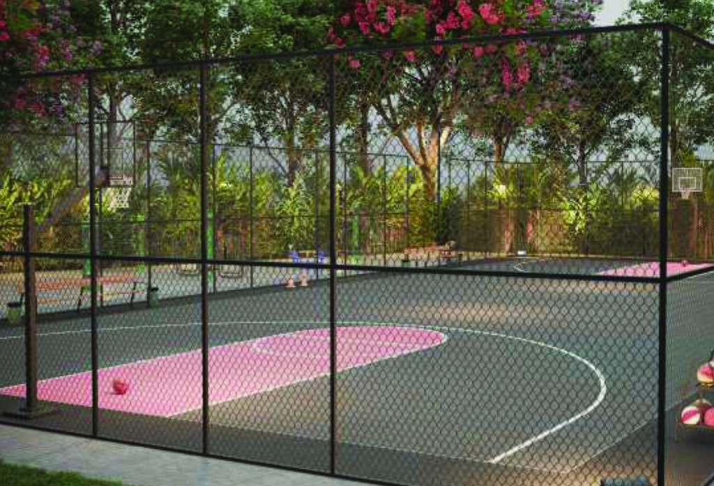 wally Ball Court
