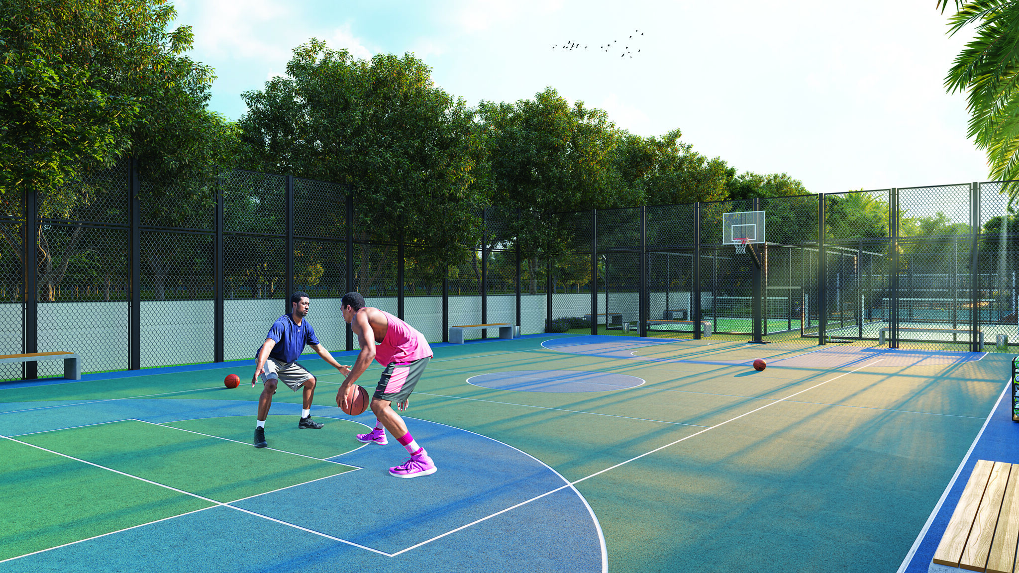 BASKETBALL-COURT