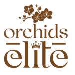 Orchids_Elite_Logo