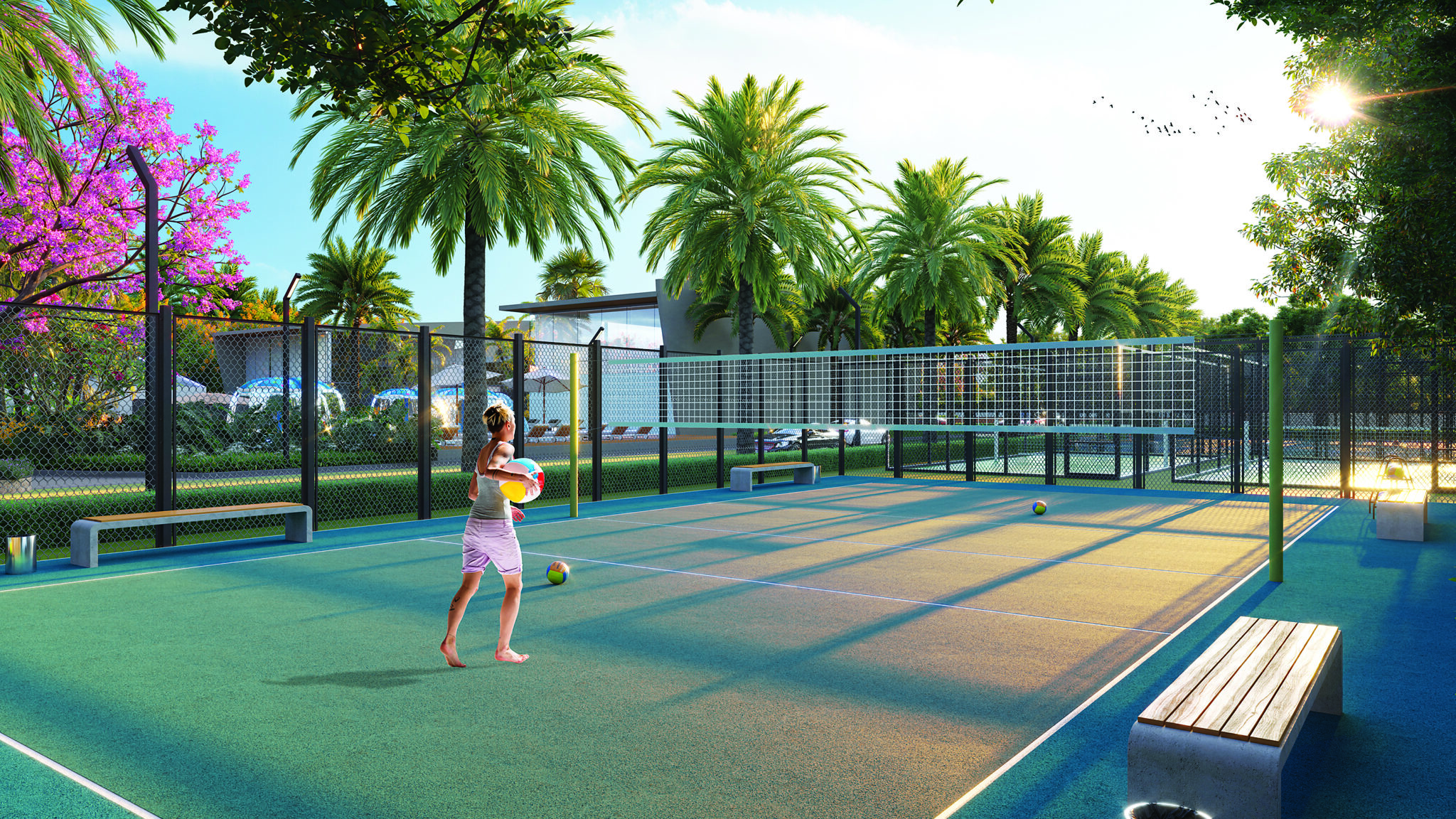 VOLLEYBALL-COURT